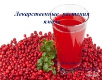 Презентация Лекарственные рачтения Ямала