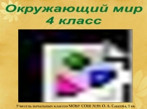 Презентация по окружающему миру Масштаб и его использование