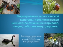 Формирование экологической культуры, предполагающей ценностное отношение к природе, людям, собственному здоровью.
