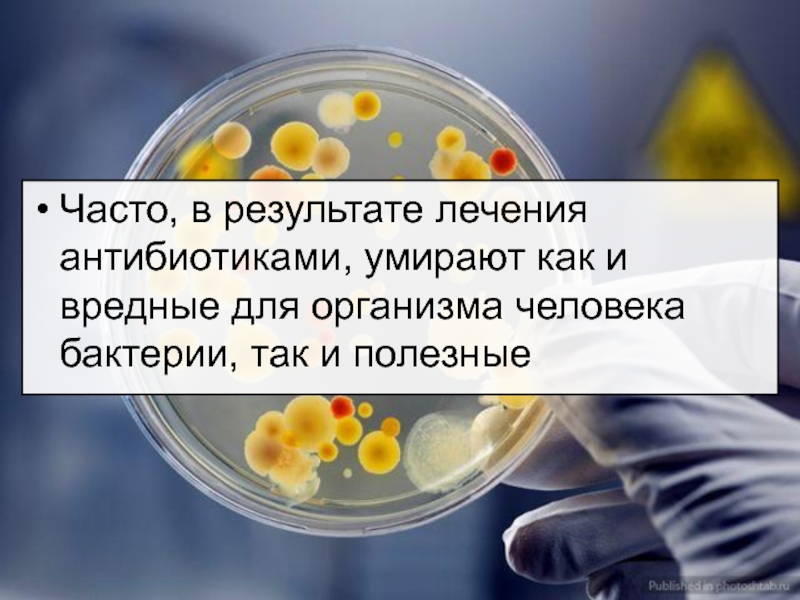 Часто 6. Соль убивает микробы. Соль убивает микробы в организме человека. Смерть от антибиотиков.