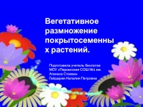 Презентация по биологии на тему: Вегетативное размножение