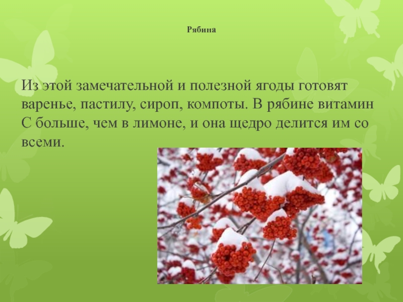 Весной рябинка одна из первых оживает многие деревья план текста