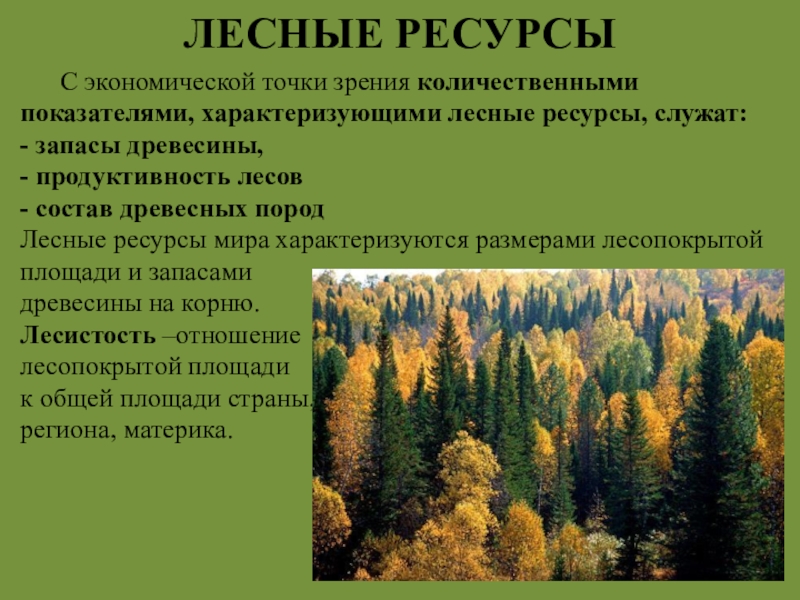 Природные районы смешанных лесов