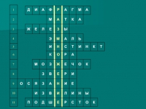 Презентация  Размножение млекопитающих