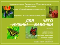 Презентация к научно практической конференции Для чего нужны бабочки