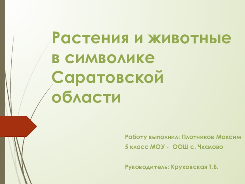Презентация Презентация Растения и животные в символике Саратовской области