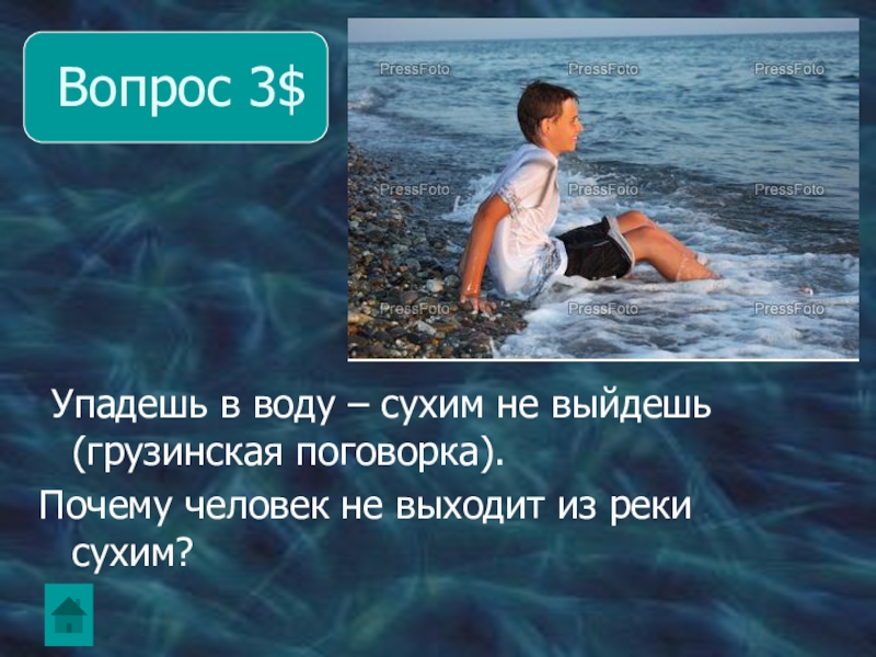 Жидкий вопрос. Упадешь в воду сухим не. Сухим из воды пословица. Выходит из воды. Сухой из воды поговорка.