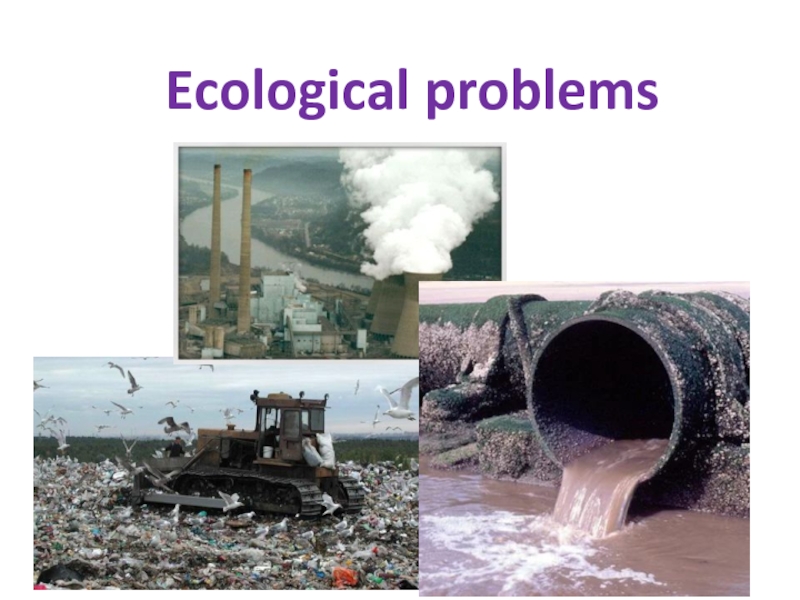 Презентация Презентация по английскому языку. Тема: Ecological problems
