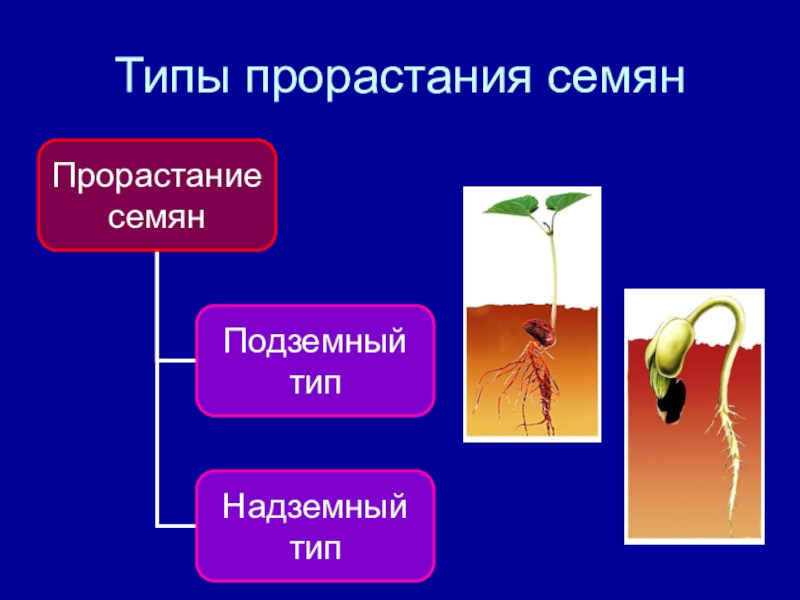 Презентация на тему условия