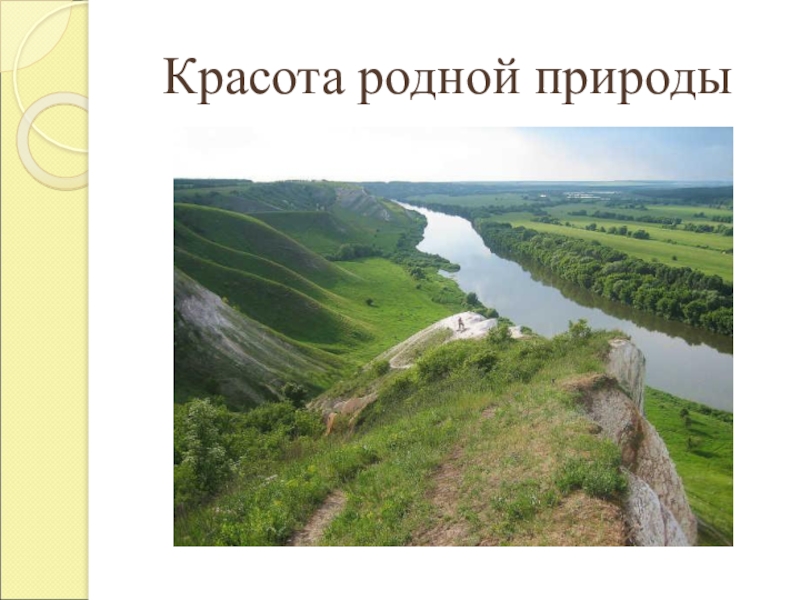 Проект "Разнообразие природы родного края": где найти образец?