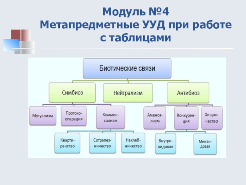 Презентация по биологии 9 класс биотические связи в природе