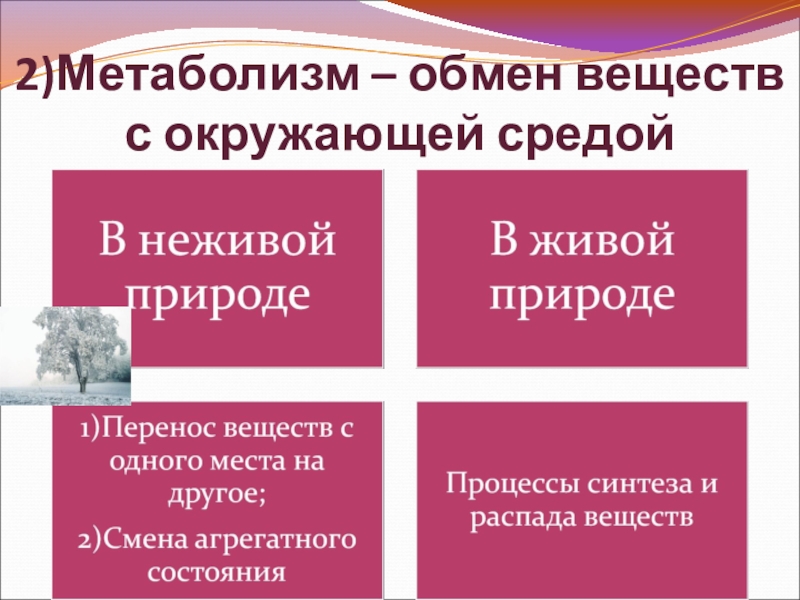 Критерии живого. Какими веществами организм обменивается с окружающей средой 4. Напиши какими веществами организм обменивается с окружающей средой.