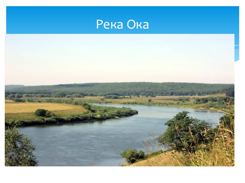 Где река ока. Длина реки Оки. Режим реки Ока. Река Ока текст. Река Ока в жизни человека.