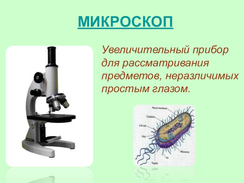 Презентация по теме микроскоп