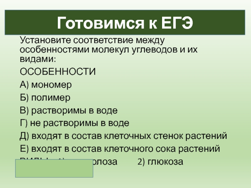 Установите соответствие особенности молекулы