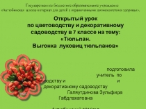 Презентация по цветоводству и декоративному садоводству на тему: Тюльпан.Выгонка тюльпана.(7 класс)