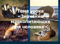 Презентация  Значение млекопитающих для человека