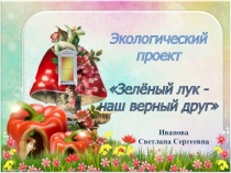 Экологический проект Зелёный лук -наш верный друг