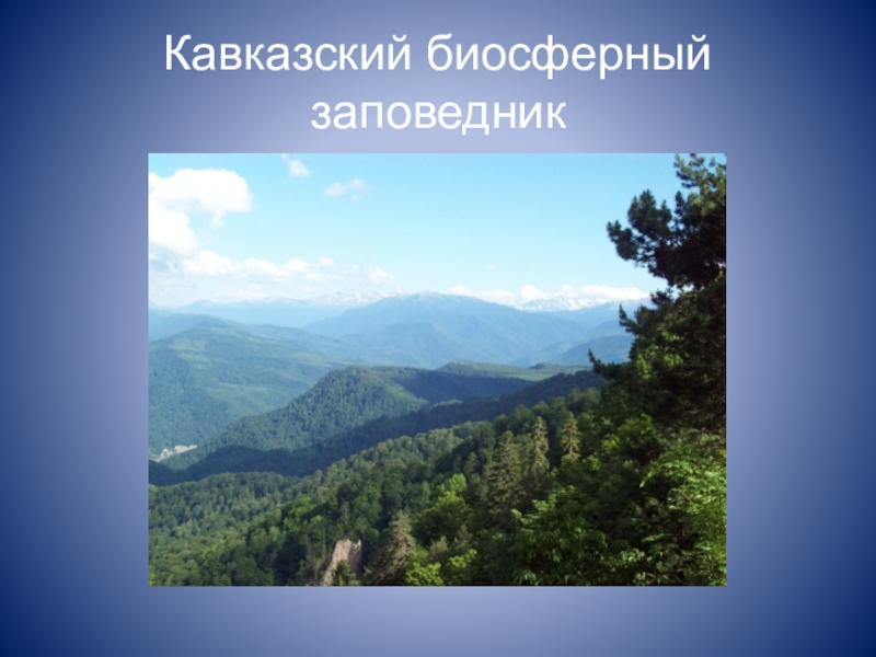 Кавказский биосферный заповедник на карте. Кавказский биосферный заповедник фото. Кавказскому биосферному заповеднику 100 лет открытки. 100 Лет Кавказскому биосферному заповеднику поздравление.