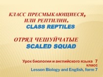 Презентация Интегрированный урок биологии и английского языка в 7-м классе по теме Класс пресмыкающиеся или Рептилии. Отряд чешуйчатые Class reptile. Detachment scaly.