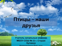 Презентация Птицы - наши друзья.