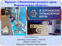Презентация по окружающему миру на тему Проект. Экономика родного края. Воронежская область (3 класс)