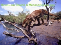 Презентация по биологии по теме  Жизнь на Земле в мезозойскую эру