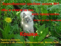 Презентация проекта на тему Мы в ответе за тех, кого приручили.