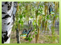 Презентация к весеннему развлечению в старшей группе Приключение колобка в весеннем лесу