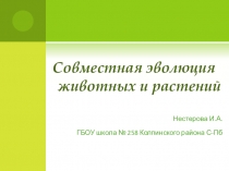 Презентация Коэволюция животных и растений
