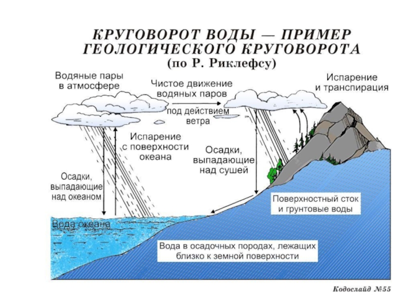 Круговорот воды в биосфере схема 11 класс