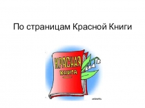 Игра По страницам красной книги