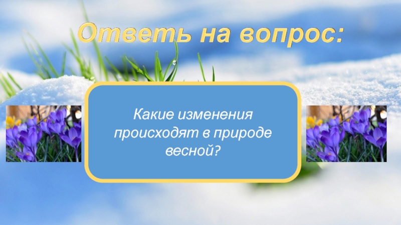 Какие изменения произошли в природе. Какие изменения происходят весной в природе 2 класс. Весна Природоведение. Напиши какие изменились происходят природе. Что же происходит с природой весной.