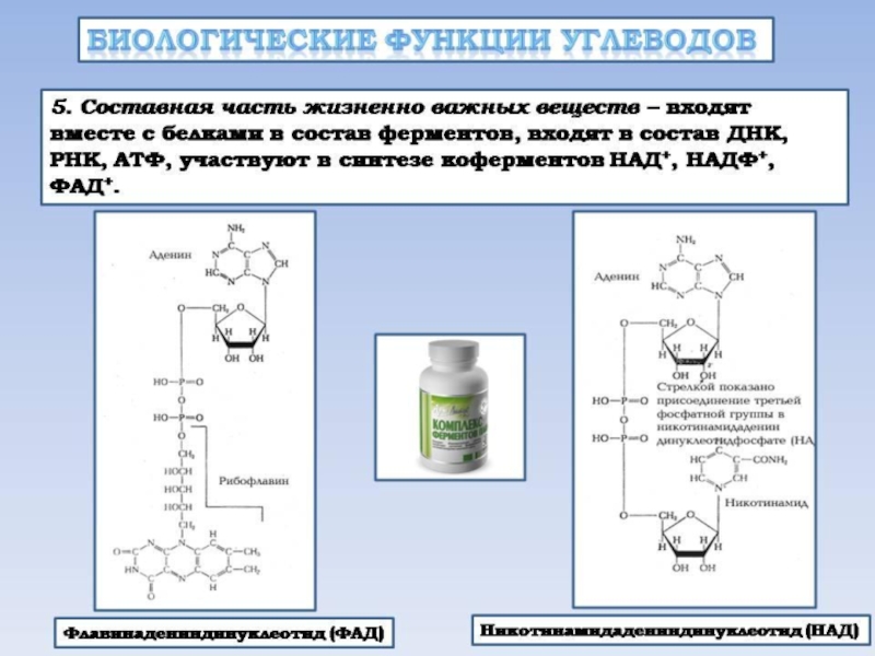 Презентация по химии 10 класс полисахариды