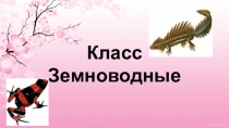 Презентация Класс Земноводные (7 класс)