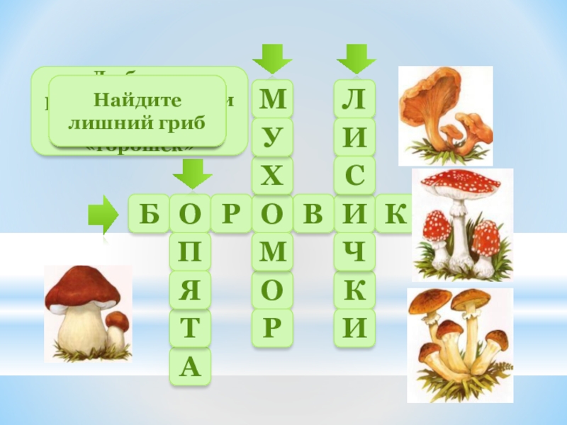 Составить кроссворд грибы