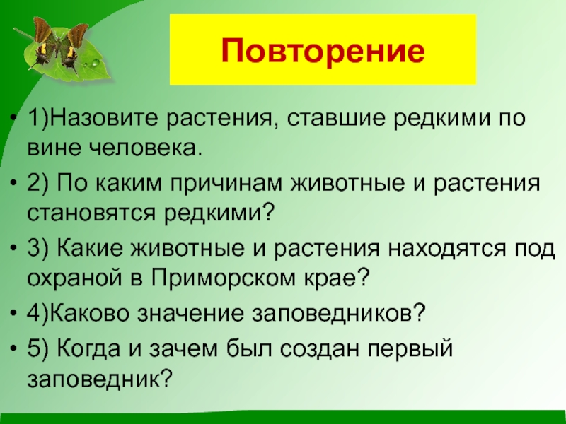 Растения ставшие. Растения ставшие редкими по вине человека. Растения редкие по вине человека. Растения становятся редкими. Назовите растения и животных ставшие редкими по вине человека.