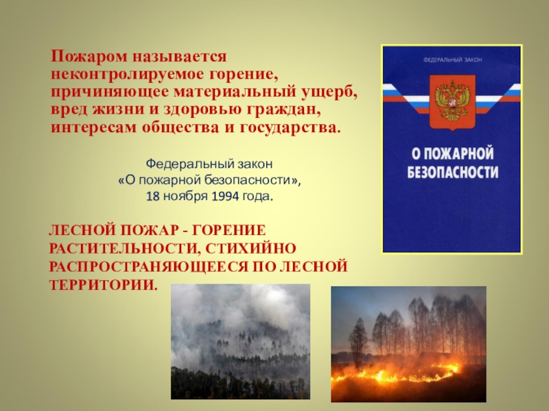 Пожаром называется. Лесные пожары ОБЖ. Лесные пожары презентация 3 класс. Лесные пожары ОБЖ 9 кл.. Пожары ОБЖ 7 класс.