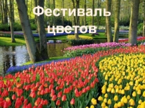 Презентация по предмету Человек и мир  Цветы