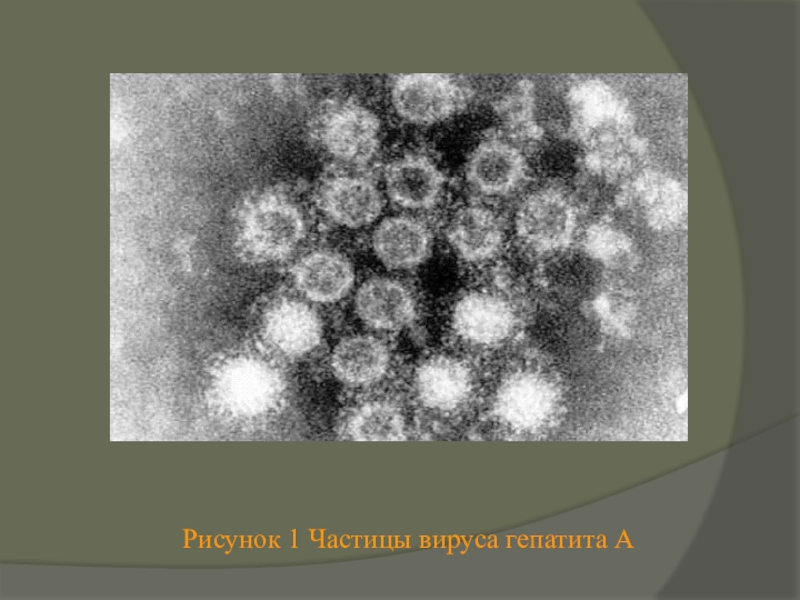 Частицы вирусов. Частица вируса. Изображение вирусной частицы. Морфология вирусных частиц гепатита а. ФРАГМЕНТЫ вирусных частиц.