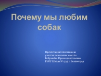Презентация по окружающему миру на тему Почему мы любим собак?