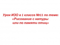 Урок ИЗО 1 классе по теме: Рисование птиц