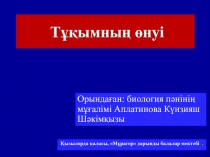 Презентация по биологии на тему Тұқымның өнуі (6 класс)