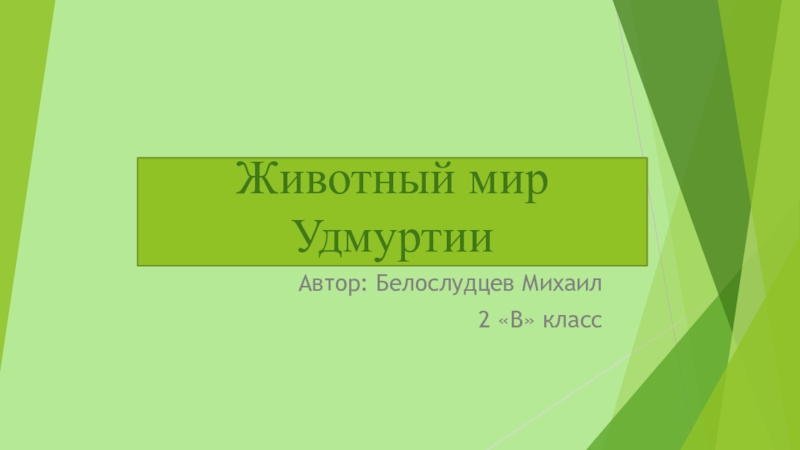 Животный мир УдмуртииАвтор: Белослудцев Михаил2 «В» класс