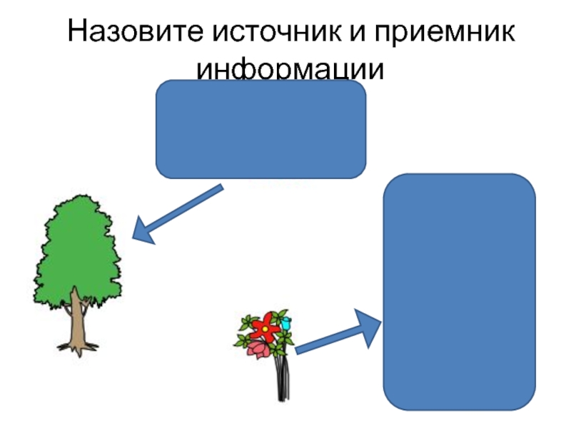 Источники и приемники информации. Назовите источники и приемники информации. Источник приемник. Источник и приемник информации. Источники и приемники информации 5 класс.