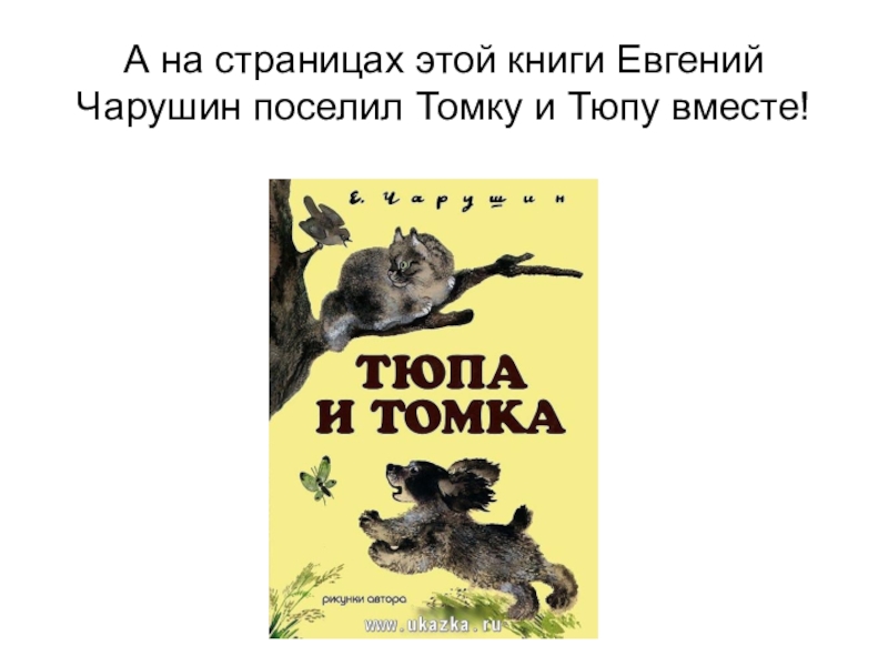 Чарушин друзья читать. Книги е Чарушина. Евгений Чарушин Тюпа и Томка. Томка книга книги Евгения Чарушина. Обложки книг Чарушина.