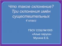 Три склонения имен существительных ( 4 класс)