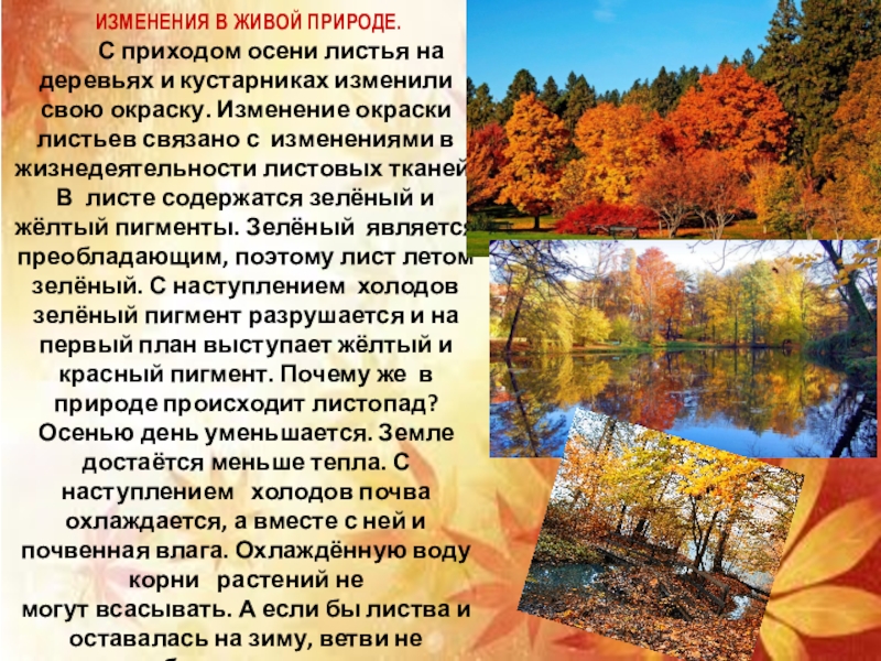 Презентация экскурсия в природу 5 класс география климанова