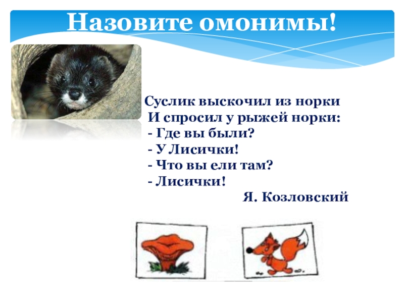 Норка в норке. Норка омонимы. Стишок про норку. Норка омонимы значение. Стишок про норку.