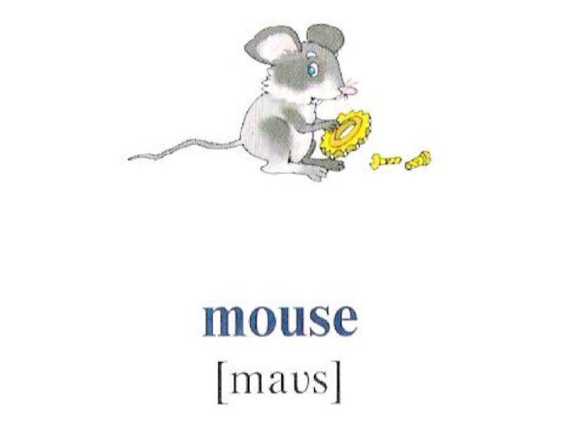 С английского на русский язык mice. Карточки с английскими словами для детей мышка. Мышь по английскому. Mouse карточка на английском. Мыши на англ. Яз..